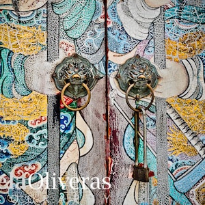 Thailand door detail, door photography, travel photography, thailand, patina, lion photo, door knocker, wall art, travel, 5x7, 11x14