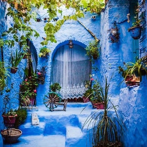 Morocco garden, morocco print, chefchaouen, wall art, blue, morocco photography, chefchaouen photography