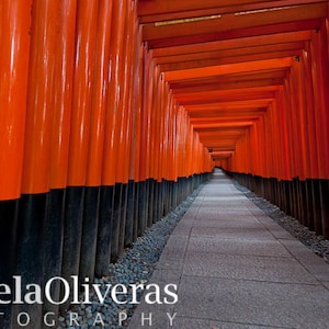 Kyoto japan, kyoto photography, fushimi inari shrine, Japanese shrine fine art print 4x6, 5x7 and other sizes wall art