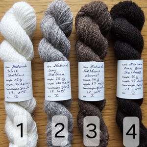 May include: Four skeins of natural Shetland wool yarn in white, gray, brown, and dark brown. Each skein is labeled with fiber details, weight, and length. The yarn is suitable for knitting and other fiber crafts.