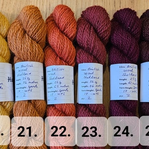 May include: Six skeins of British Shetland wool yarn in a range of warm colors, from golden yellow to deep burgundy. Each skein is labeled with weight, length, and yarn weight details. The numbers 20 through 25 are visible at the bottom.