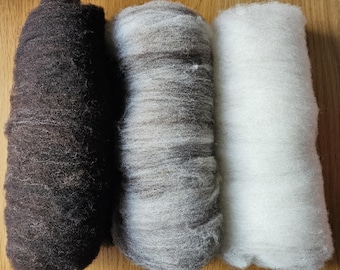 Handbearbetat och kardat holländsk prickig fleece och handspunnet garn.