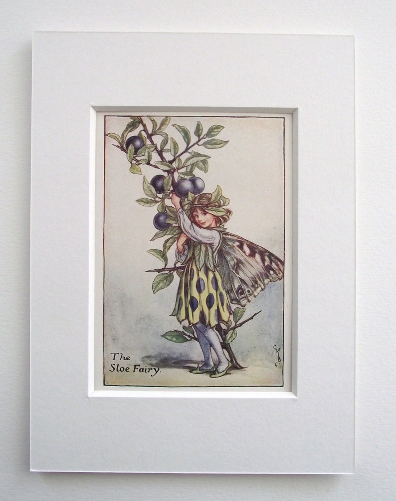 Speedwell Fairy by Cicely Mary Barker Spring Flower Fairies c1935 old print