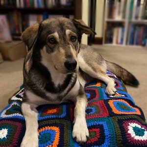Any Size Cuddly Dog Bed Crochet Pattern WM2079