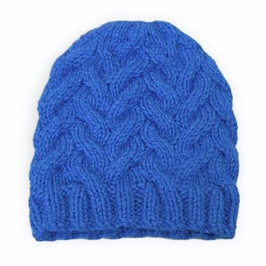 May include: A blue knitted beanie with a cable knit pattern.