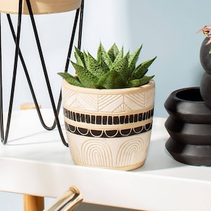 Può includere: Un piccolo vaso di ceramica color crema con un design geometrico in bianco e nero, contenente una pianta succulenta verde. Il vaso presenta motivi incisi e una forma arrotondata, ideale per l'arredamento interno.
