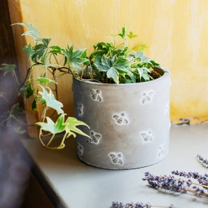 May include: A grey ceramic planter with a bee design, filled with a green and white variegated ivy plant. The planter is sitting on a white surface with dried lavender flowers.