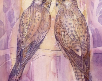 Impression d'art animalier esprit crécerelle, oiseau de proie chamanique