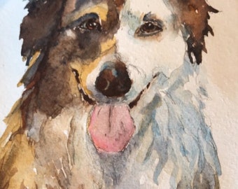 Australian Shepherd watercolor painting art print custom watercolor painting