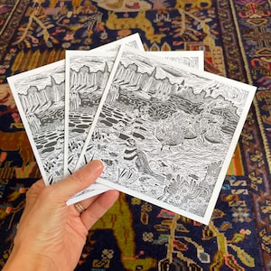 Paquete de cinco tarjetas de felicitación en blanco con sobres de los Amigos Emplumados de la Bahía Francesa