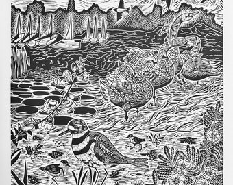 Feathered Friends of Frenchman’s Bay