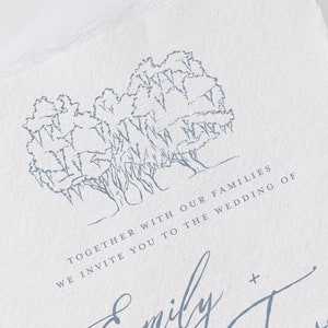 Oak Trees with Spanish Moss Illustration Line Drawing Vector Art - PDF & PNG Digital Download Files