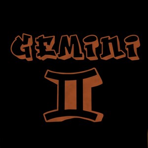 Gemini T-shirt | Free Shipping | Astrology tee | zodiac sign shirt | horoscope Shirt | gemini birthday | gemini sign | zodiac T shirt