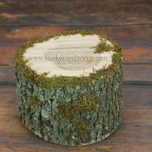 May include: A round wooden stump covered in green moss. The top of the stump is smooth and has a natural wood grain pattern. The text "www.BackdropsDesign.com" is printed on the top of the stump.