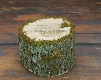 Photo Prop Stump for our Log bed Newborn photography prop hand made night stand Table