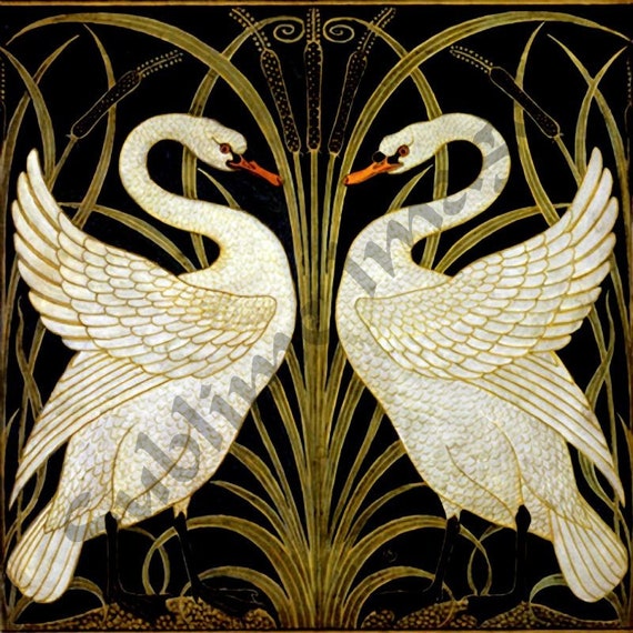 AN055 - Swan Rush Iris by Walter Crane - Vintage Art Nouveau
