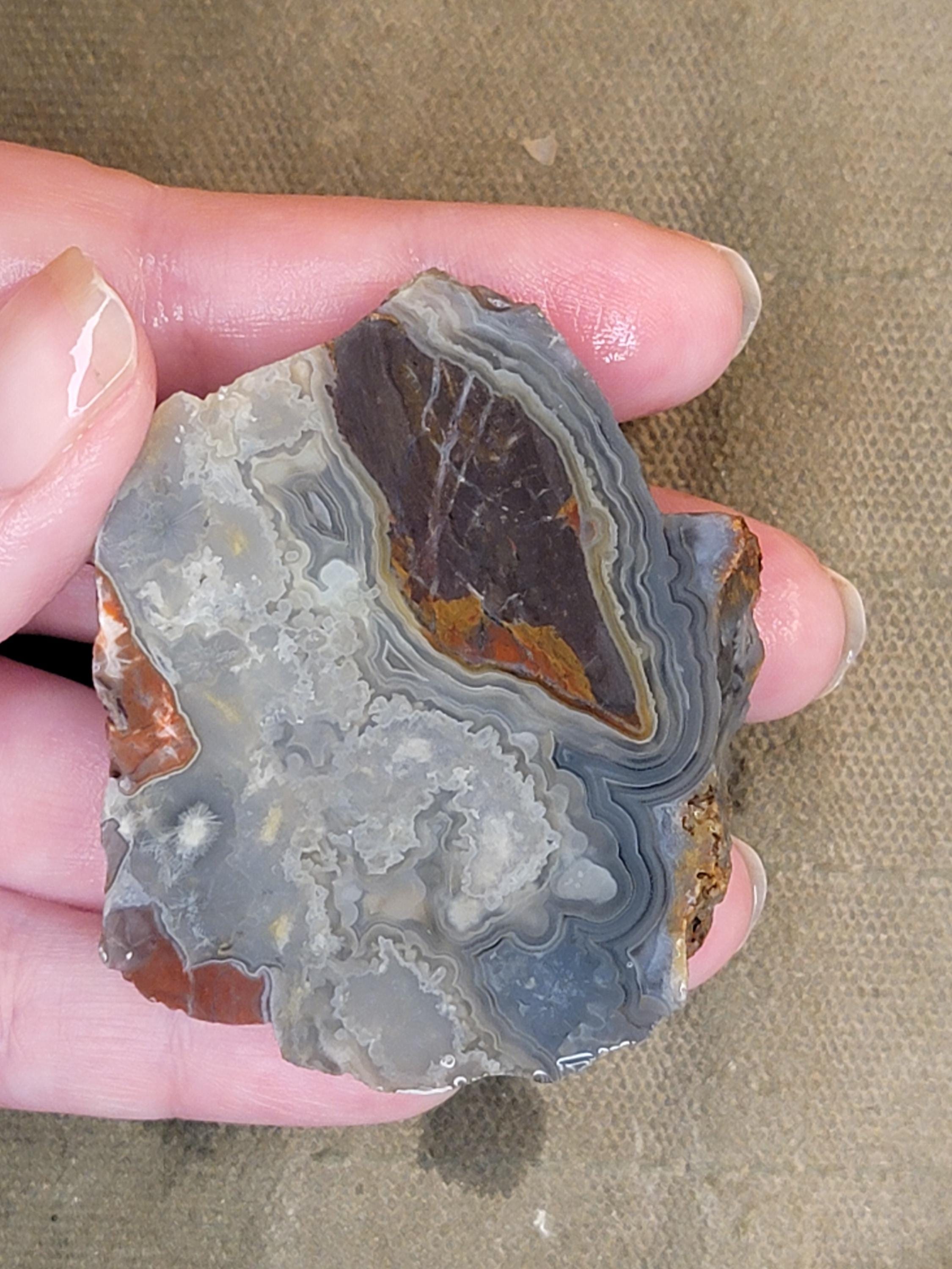 Gray Crazy Lace Agate End Cut Rough