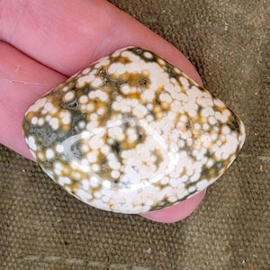 Thick Old Stock Ocean Jasper Cabochon