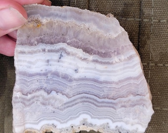 Sowbelly Agate Rough End Cut