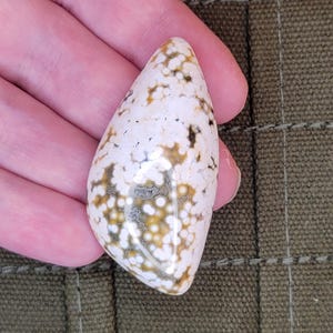 Old Stock Ocean Jasper Cabochon