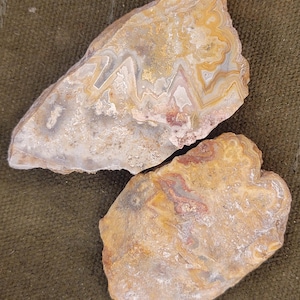 Lot of 2 Crazy Lace Agate Slabs