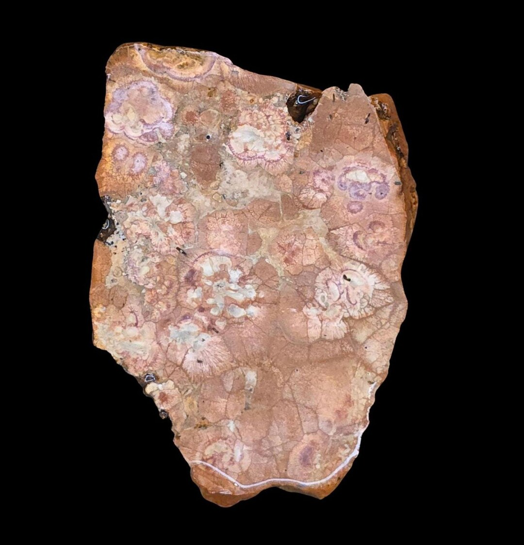 Bird’s Eye Rhyolite Slab | Raw Rhyolite Slice From Mexico | Stone Craft ...
