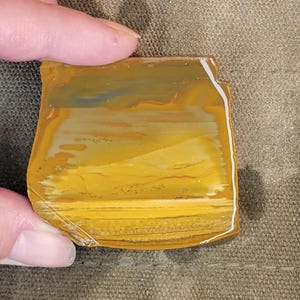 Owyhee Jasper Rough Slab - Picture Jasper