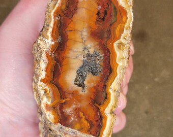 Rare Warpaint Seam Agate Rough