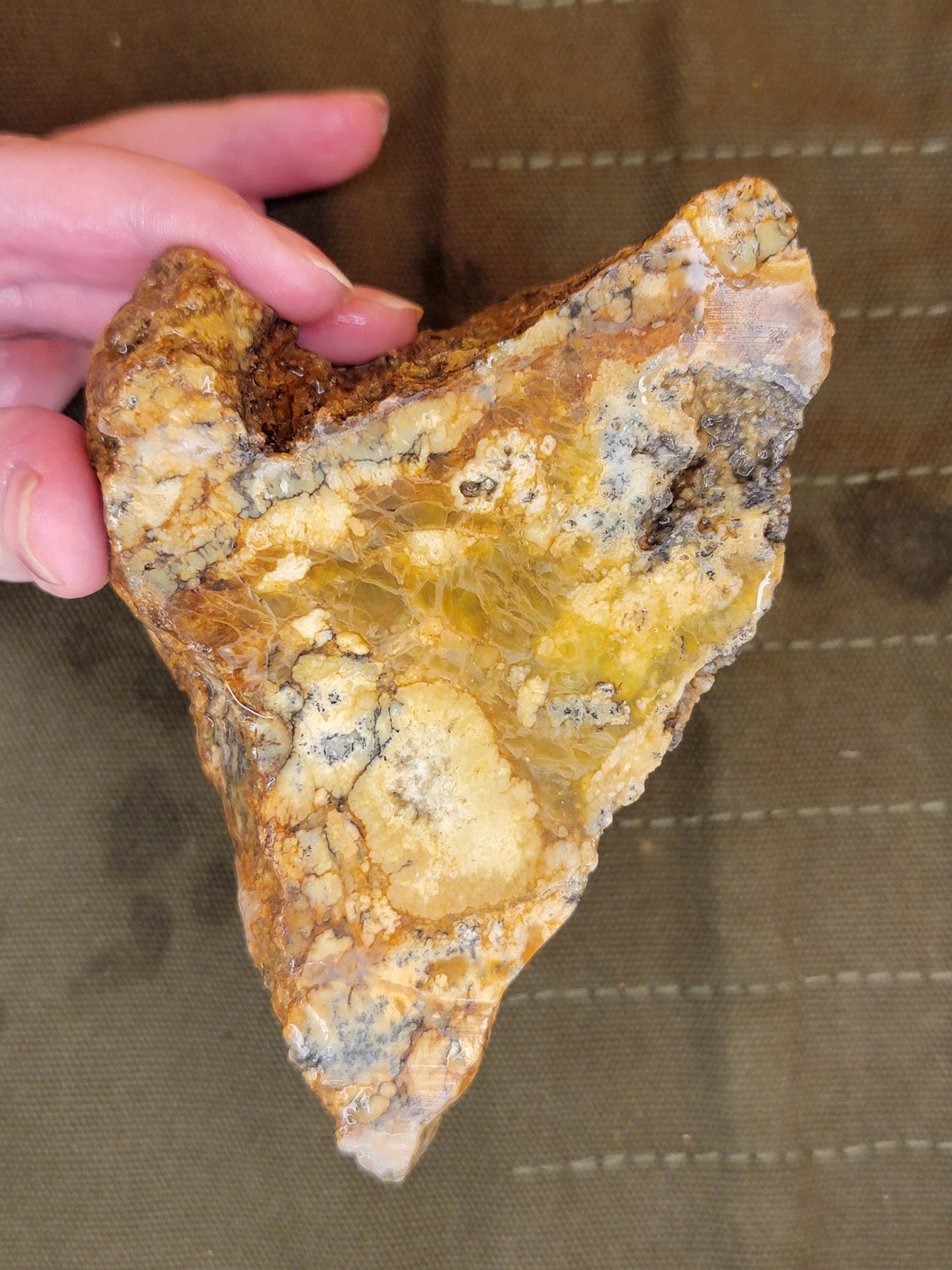 Dendritic Rock Rough
