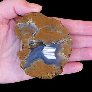 Richardson Ranch Blue Bed Thunderegg Half