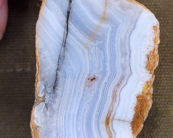 Namibian Blue Lace Agate End Cut