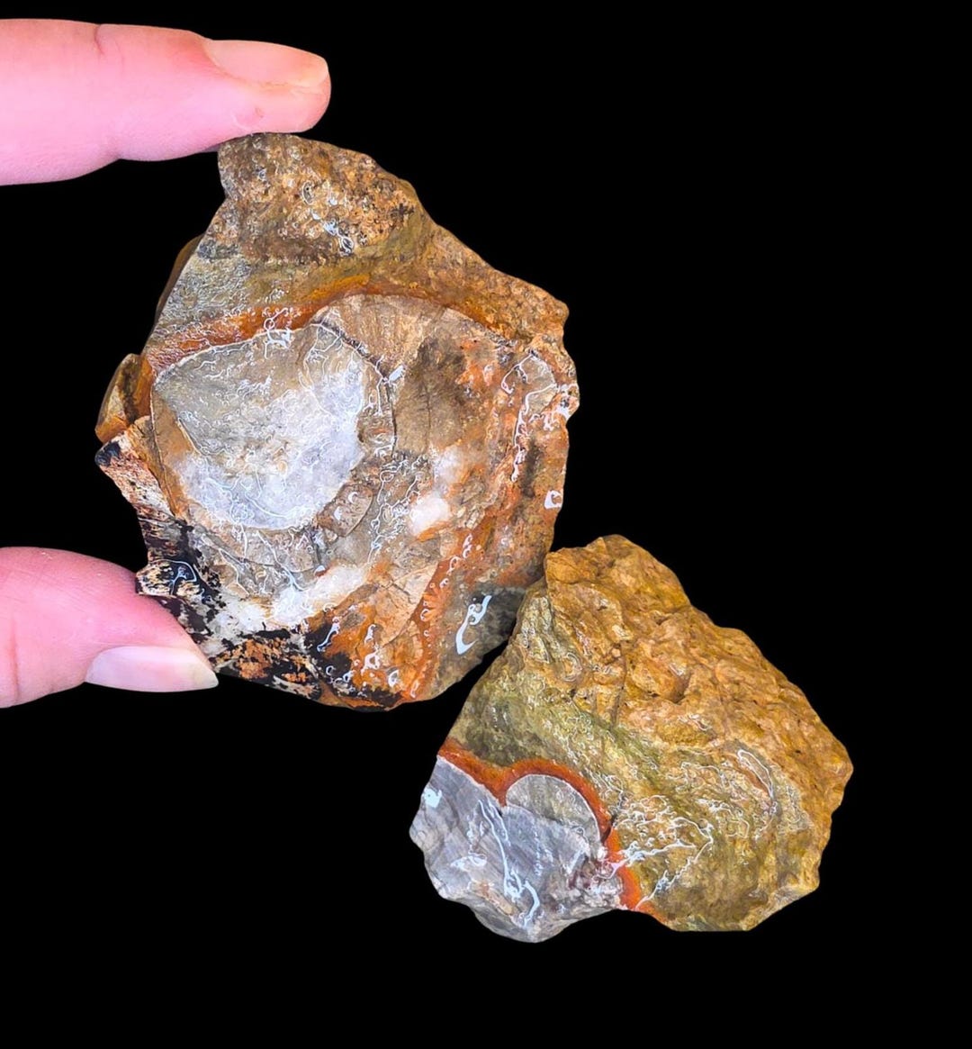 Rough Mushroom Jasper Lot of 2 | Raw Rhyolite Chunks From Arizona ...