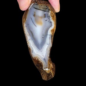 May include: A polished agate stone with a natural, layered pattern. The stone features bands of white, gray, and brown, creating a unique, organic design. The agate is held against a black background, highlighting its colors and textures.