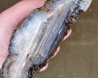 Large Beacon Hill Agate Rough Rock