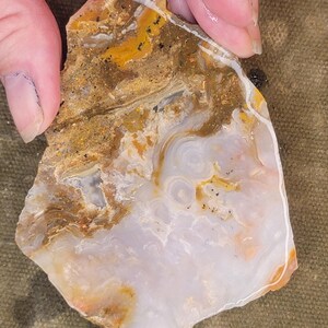Mystery Agate End Cut