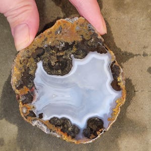 Solid Coconut / Las Choyas Geode Half