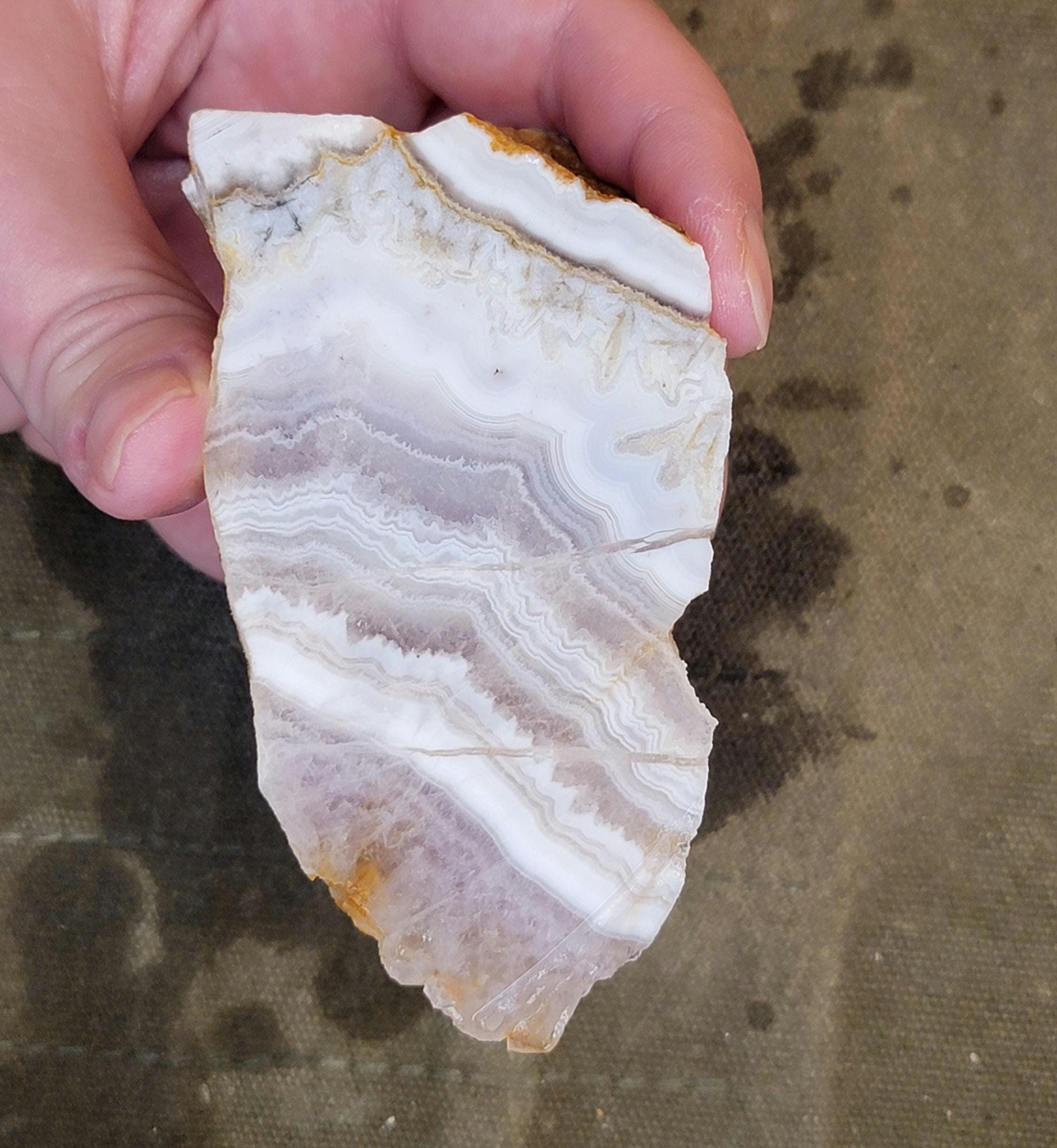Sowbelly Agate Faced Rough