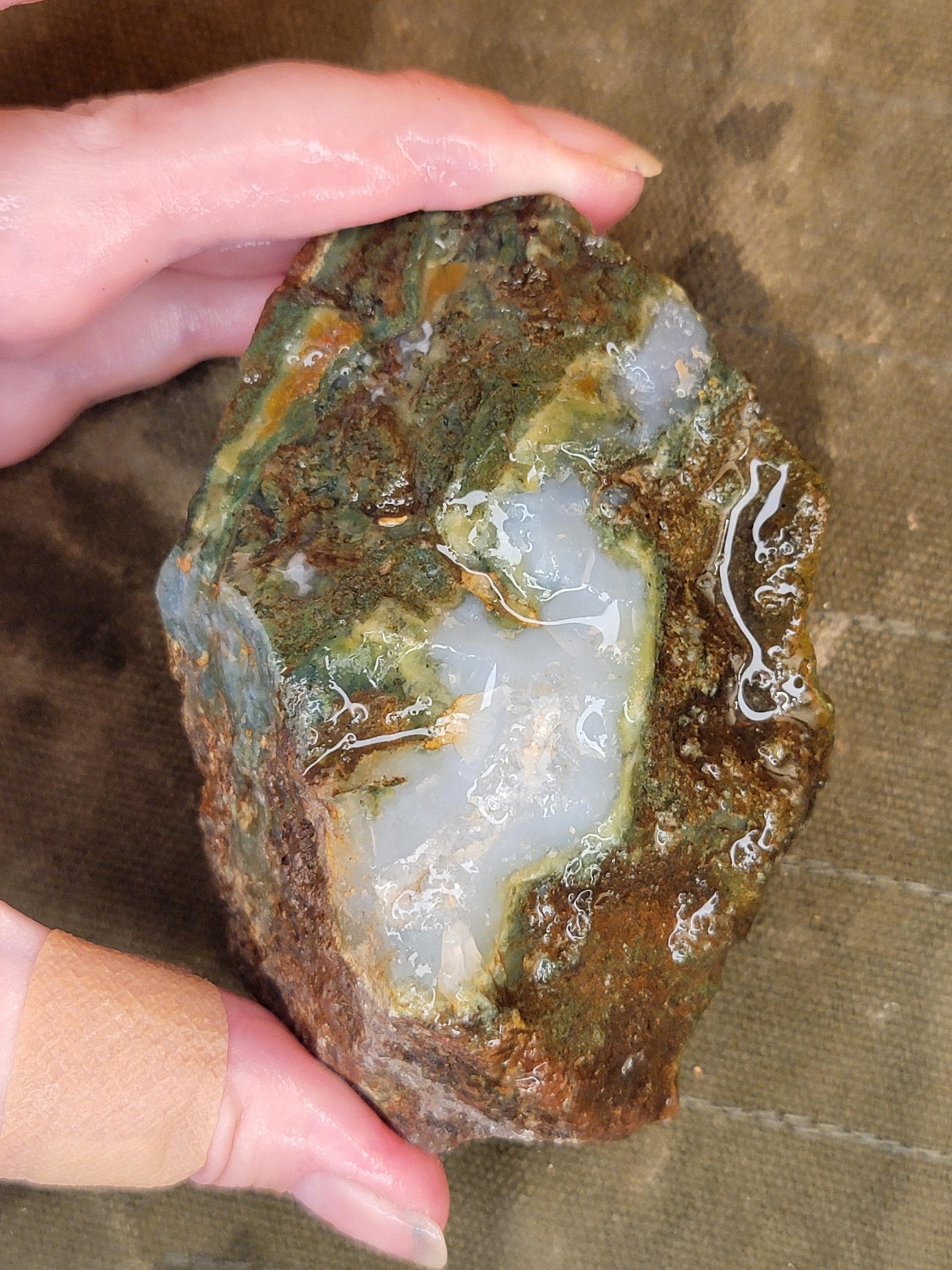 Beacon Hill Agate Thunderegg Rough