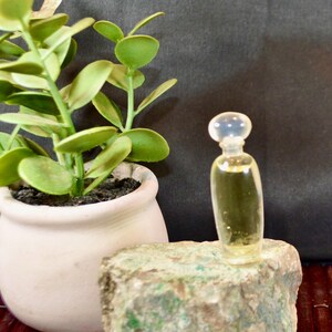 Op de afbeelding: Een kleine, heldere glazen fles met een afgeronde bovenkant, gevuld met een gele vloeistof, staat op een getextureerde, groen-grijze steen. Links staat een kleine potplant met groene bladeren. De achtergrond is donker.