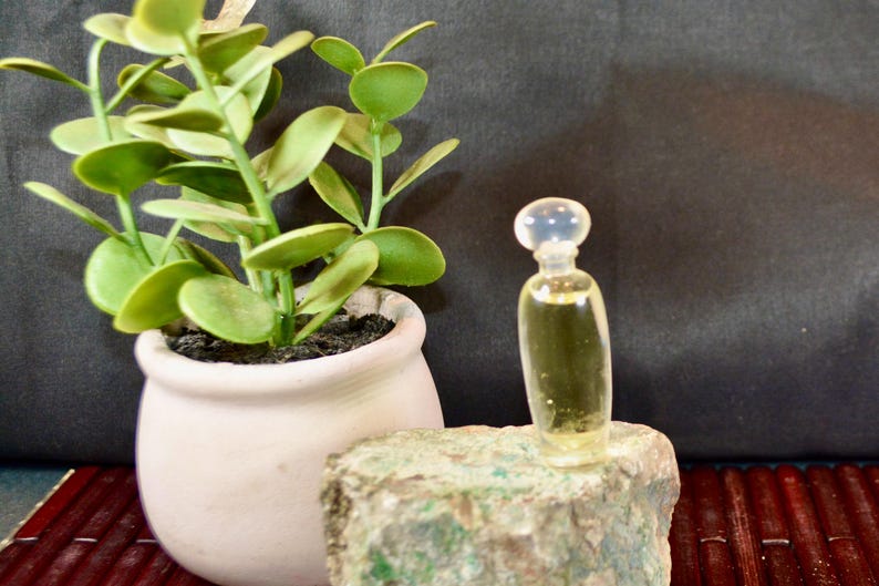 Op de afbeelding: Een kleine, heldere glazen fles met een afgeronde bovenkant, gevuld met een gele vloeistof, staat op een getextureerde, groen-grijze steen. Links staat een kleine potplant met groene bladeren. De achtergrond is donker.