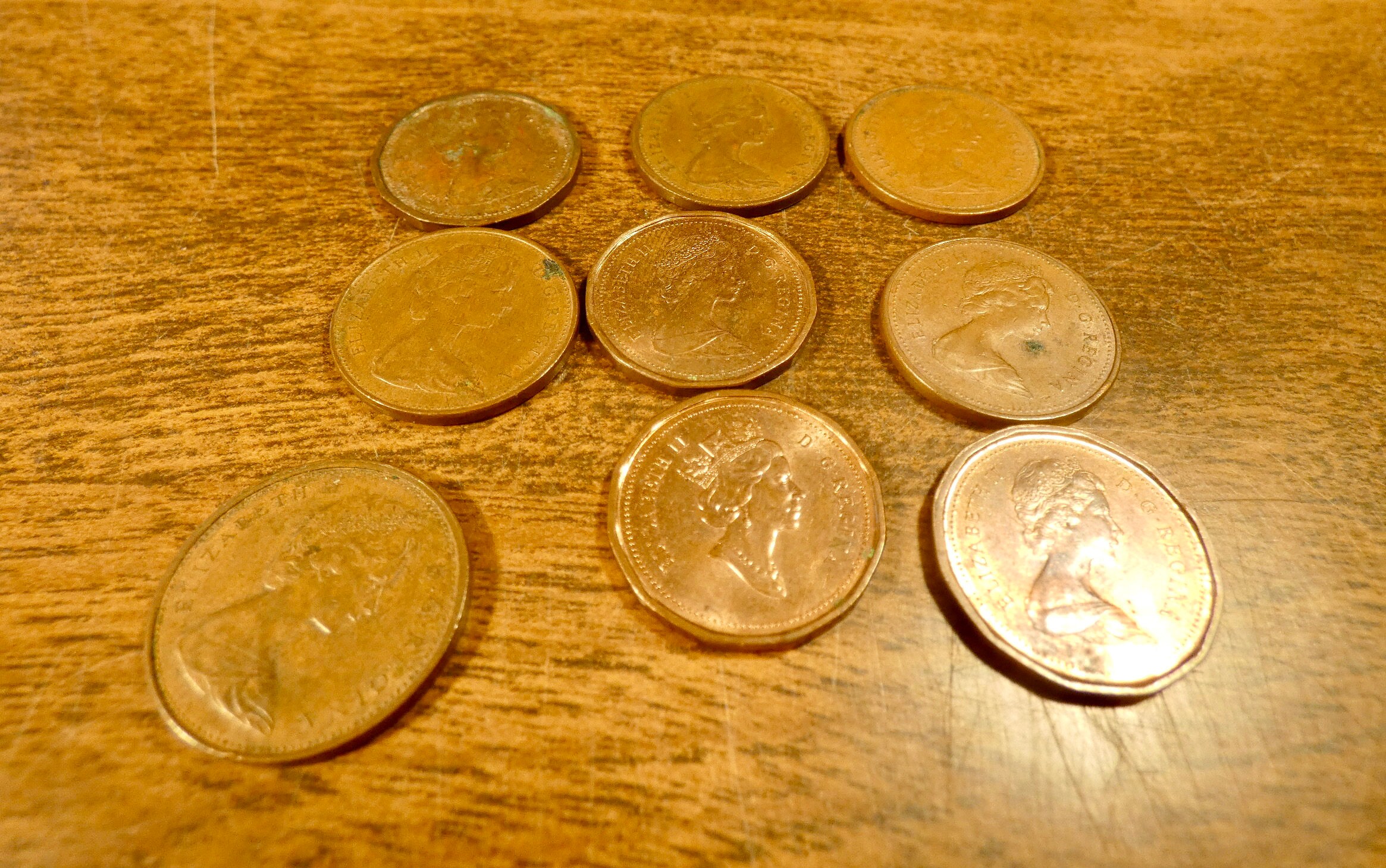 新商品 Sale Jsc 1 400 客船queen Elizabeth Card Model Www Ilr Ro 新商品 Sale Jsc 1 400 客船queen Elizabeth Card Model Www Ilr Ro