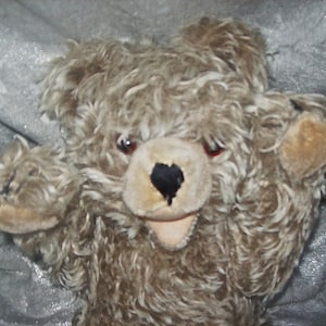 Vintage,steiff,zotty,long Mohair,teddy Bear,13'' Fully Vintage,steiff,zotty,long Mohair,teddy Bear,13'' Fully