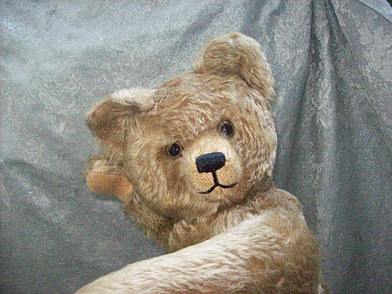Schuco Teddy Bear - Etsy