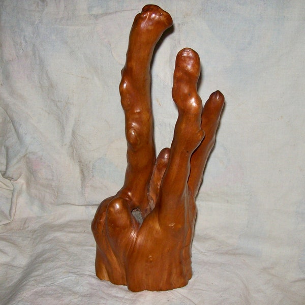 15" Tall Natural Organic WOOD Root / Burl Formation with Strong SCULPTURAL Qualities