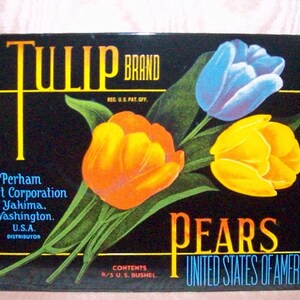 Ande Rooney Enamel on Steel 7&quot; by 9&quot;  FRUIT CRATE LABEL Replica for Tulip Brand Pears Wall Sign Picture