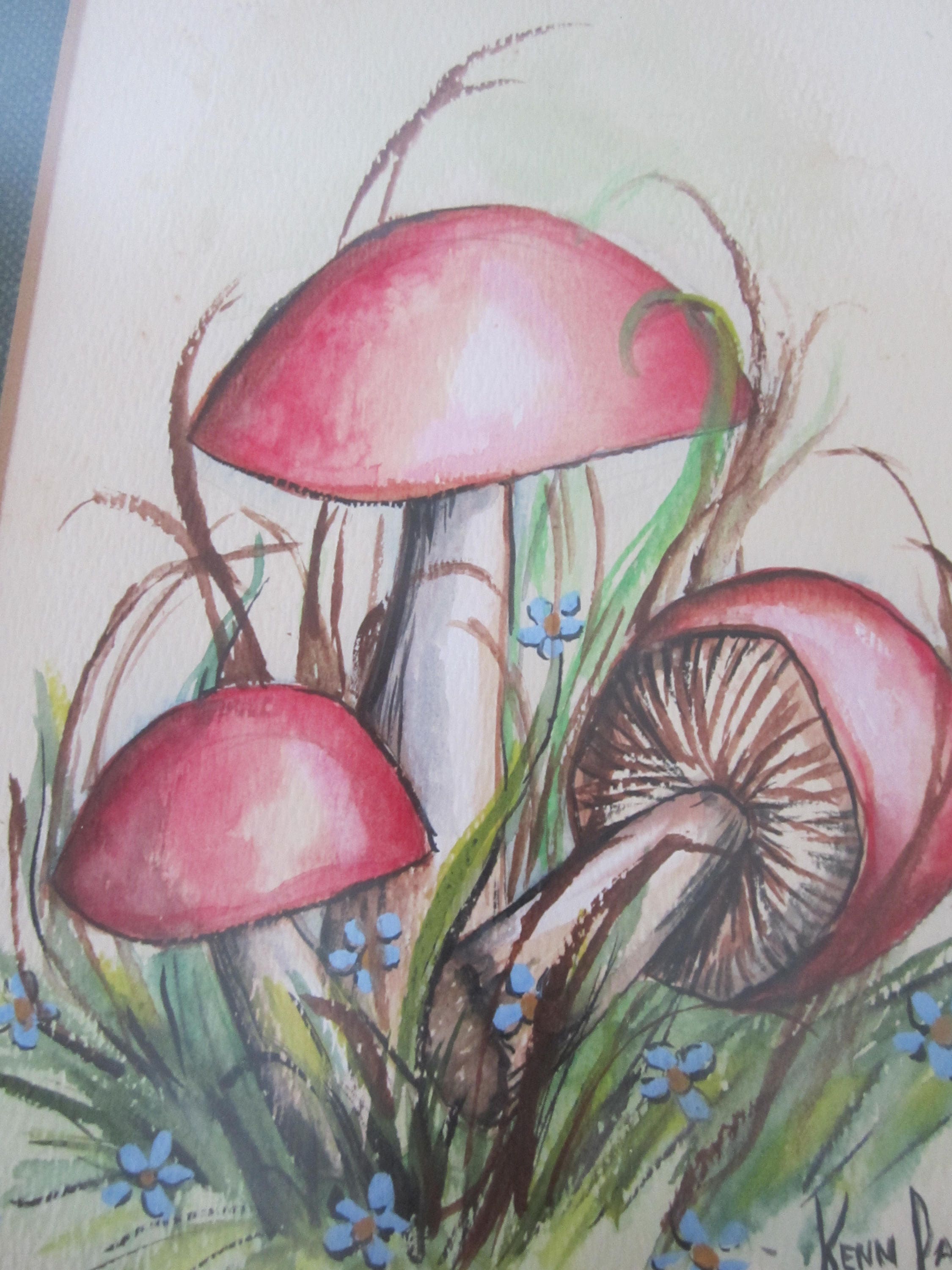 現在開催中のキャンペーン＆お得情報 Watercolor Retro Original Vintage Painting Mushrooms of 絵画