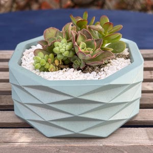 May include: A light blue geometric planter filled with various succulents and small white pebbles. The succulents have green and reddish-pink leaves. The planter sits on a wooden surface.