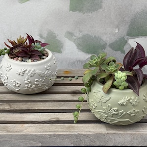 May include: Two round, decorative planters with succulents. One is white, the other is light green. Both have embossed floral and dragonfly designs. The plants feature green, red, and purple foliage, with a trailing string of pearls.