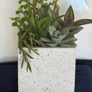 May include: A square, speckled white and gray planter containing a variety of green succulents. The arrangement includes a tall jade plant, a spiky aloe-like succulent, a rosette-shaped echeveria, and trailing stems with small, pointed leaves.