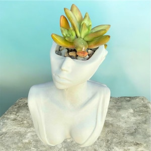 Feminine Torso Cement Planter, Unique Succulent & Candle Holder